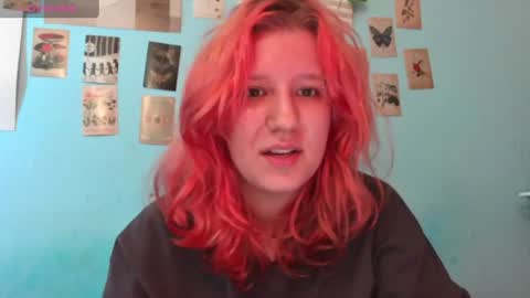Hailey online show from July 12, 2026, 1:13 pm