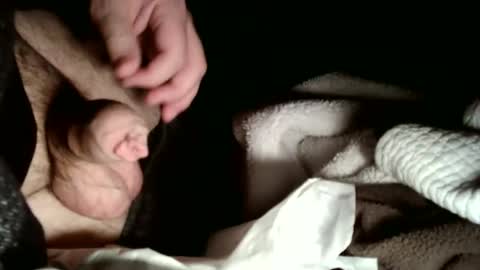 Snapshot of hailhail2 chatting on February 2, 2026, 3:05 am share9 online show from February 2, 2026, 3:05 am