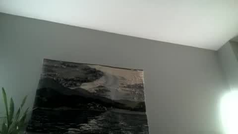 Hairiest Bear online show from November 15, 2025, 8:00 am