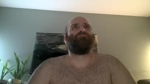 Snapshot of hairiestbear chatting on March 1, 2026, 5:53 am Hairiest Bear online show from March 1, 2026, 5:53 am