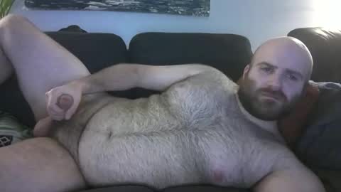 Snapshot of hairiestbear chatting on March 8, 2026, 4:38 am Hairiest Bear online show from March 8, 2026, 4:38 am