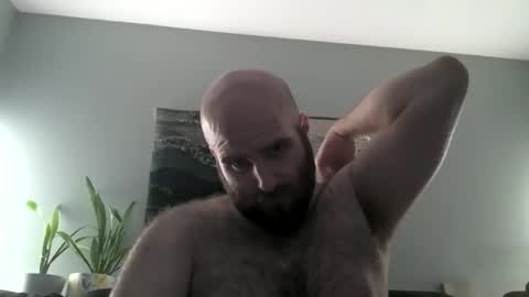 Hairiest Bear online show from April 1, 2026, 6:25 am