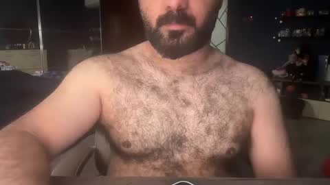 Snapshot of hairyarab_88 chatting on December 16, 2024, 9:35 am Hairyarab88 online show from December 16, 2024, 9:35 am