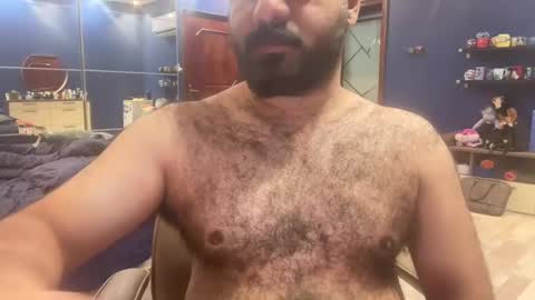 Snapshot of hairyarab_88 chatting on December 16, 2024, 5:33 pm Hairyarab88 online show from December 16, 2024, 5:33 pm