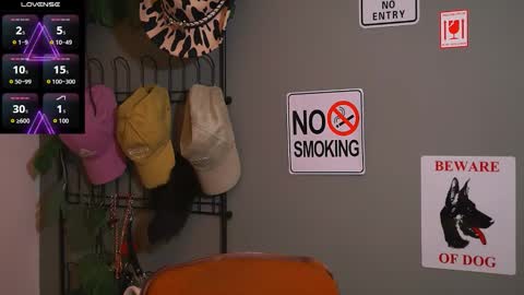 HairyRobXxX online show from November 20, 2025, 4:29 pm