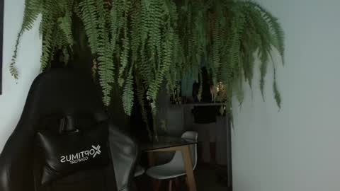 Snapshot of halan_jr chatting on February 26, 2025, 6:47 am halan online show from February 26, 2025, 6:47 am