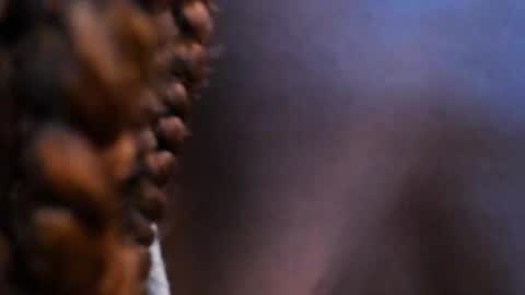 Halley Lorens online show from November 6, 2025, 7:15 pm