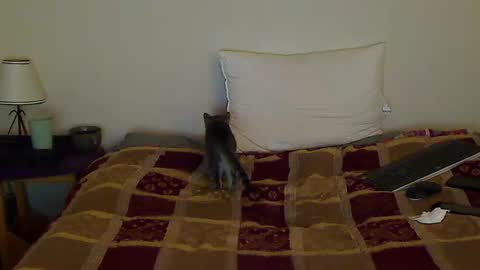 Snapshot of hammerthatthang73 chatting on October 14, 2025, 8:59 am hammerthatthang73 online show from October 14, 2025, 8:59 am