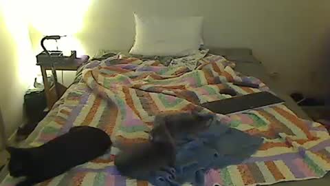 Snapshot of hammerthatthang73 chatting on October 18, 2025, 7:20 am hammerthatthang73 online show from October 18, 2025, 7:20 am