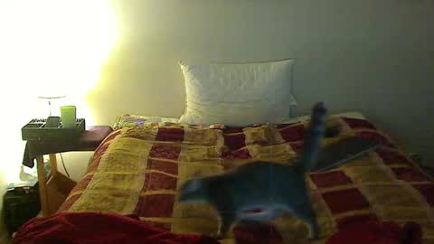 Snapshot of hammerthatthang73 chatting on November 3, 2025, 1:29 am hammerthatthang73 online show from November 3, 2025, 1:29 am