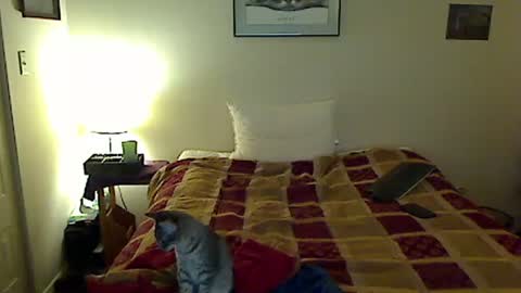 Snapshot of hammerthatthang73 chatting on November 4, 2025, 8:57 am hammerthatthang73 online show from November 4, 2025, 8:57 am