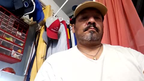 Hammy online show from January 8, 2025, 11:54 am