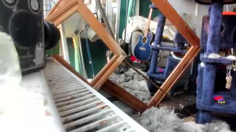 handncocknocum online show from February 28, 2025, 7:15 am