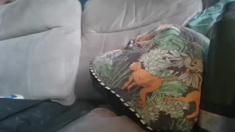 handncocknocum online show from January 6, 2026, 8:51 am