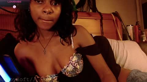 Snapshot of happysoft chatting on February 28, 2025, 2:31 pm meatwad online show from February 28, 2025, 2:31 pm