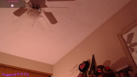 Snapshot of happysoft chatting on February 14, 2026, 2:25 pm meatwad online show from February 14, 2026, 2:25 pm