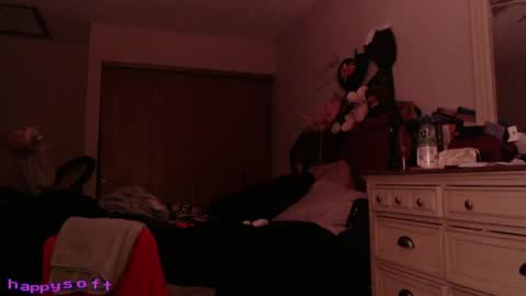 Snapshot of happysoft chatting on April 20, 2026, 7:48 pm meatwad online show from April 20, 2026, 7:48 pm