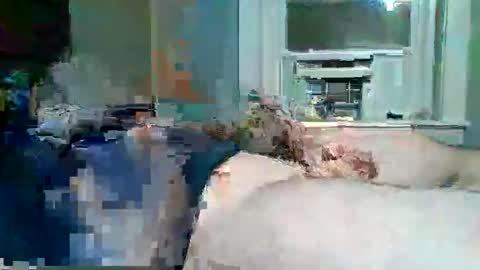 cervixpainter25 online show from November 30, 2025, 6:50 am