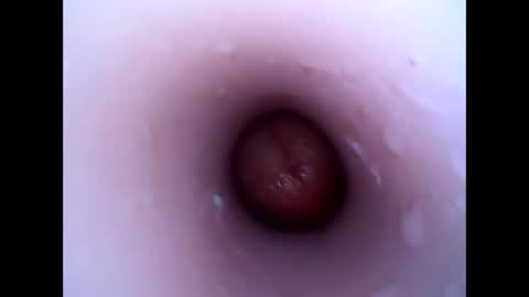 hardhammerboy online show from December 30, 2024, 4:08 pm