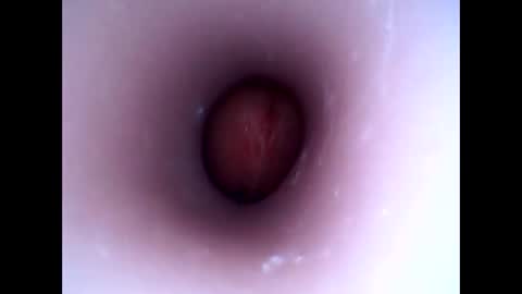 hardhammerboy online show from January 1, 2025, 8:26 pm