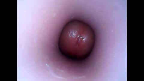 hardhammerboy online show from January 12, 2025, 7:53 pm