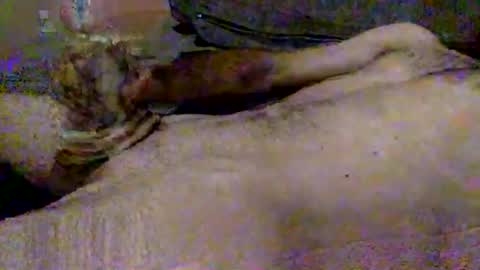 Snapshot of hardiebois chatting on November 2, 2025, 9:22 am Micheal online show from November 2, 2025, 9:22 am