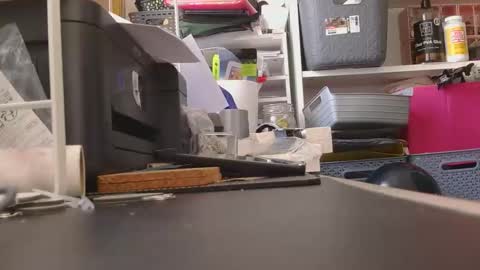 Hardonjohnny68 online show from November 1, 2025, 1:02 pm