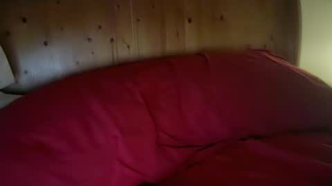 Snapshot of haroldhaller chatting on January 13, 2026, 1:38 pm Harry H online show from January 13, 2026, 1:38 pm