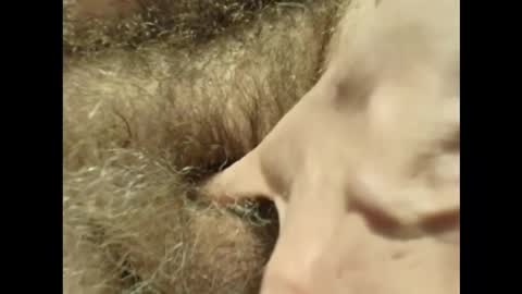 harry_banana online show from November 30, 2025, 3:27 pm