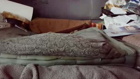 hartl1112 online show from December 4, 2025, 10:24 am