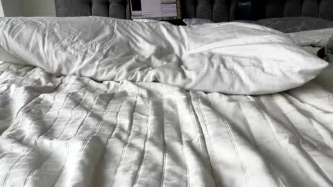 Snapshot of hawt_ass_milf chatting on March 3, 2025, 4:46 pm Amber - or vip online show from March 3, 2025, 4:46 pm