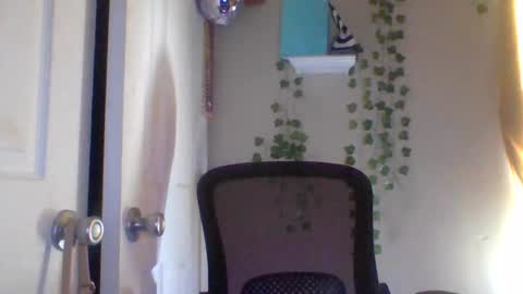 hawtchoc37 online show from February 26, 2026, 9:36 pm
