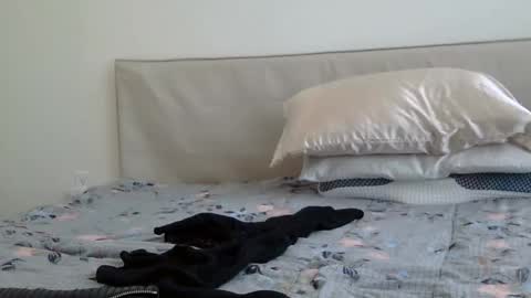 Snapshot of heatwavee chatting on February 2, 2025, 8:08 pm heatwavee online show from February 2, 2025, 8:08 pm