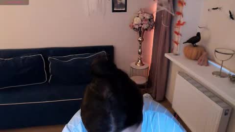 Snapshot of heaven_chloe chatting on November 2, 2025, 1:35 pm Heaven girl online show from November 2, 2025, 1:35 pm