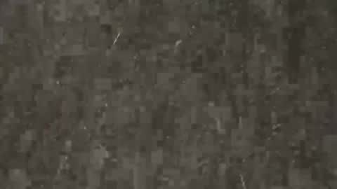 heering77 online show from July 17, 2026, 2:34 pm