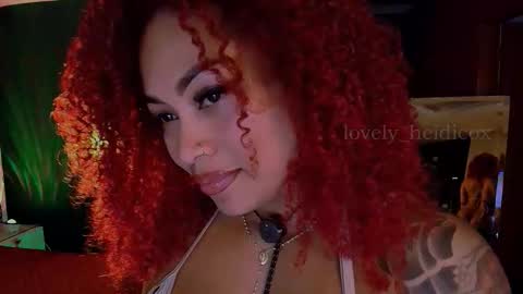 Snapshot of heidicox chatting on November 14, 2025, 3:27 am Heidi online show from November 14, 2025, 3:27 am