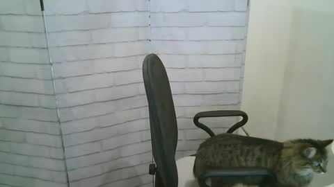 Snapshot of helen_xi chatting on January 13, 2026, 5:24 am Helen online show from January 13, 2026, 5:24 am