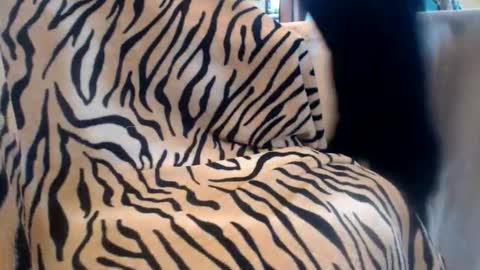 Snapshot of helvella chatting on February 13, 2026, 10:44 am Helvell online show from February 13, 2026, 10:44 am