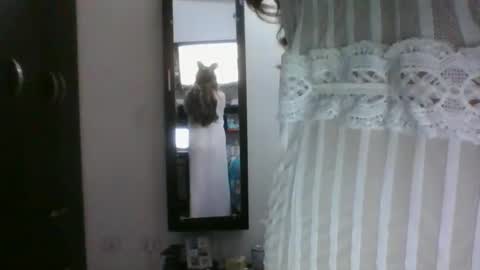 Snapshot of hetairita chatting on March 7, 2025, 12:58 am hetairita online show from March 7, 2025, 12:58 am