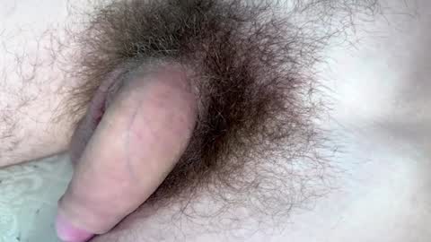 Snapshot of hey_arnold chatting on January 29, 2025, 9:17 pm Arnold online show from January 29, 2025, 9:17 pm