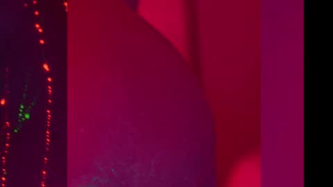 Snapshot of heybanan chatting on December 8, 2024, 7:00 pm Alina online show from December 8, 2024, 7:00 pm