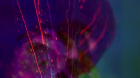 Snapshot of heybanan chatting on January 14, 2026, 6:46 pm Alina online show from January 14, 2026, 6:46 pm