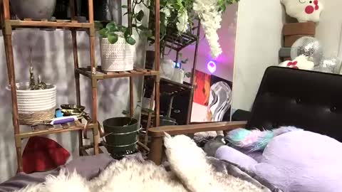 Snapshot of heynicole01 chatting on January 3, 2025, 4:44 am FlexieFae online show from January 3, 2025, 4:44 am