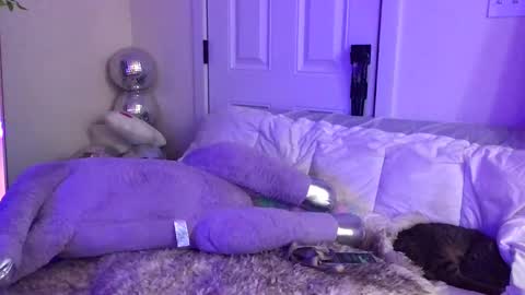 Snapshot of heynicole01 chatting on February 9, 2025, 1:22 am FlexieFae online show from February 9, 2025, 1:22 am