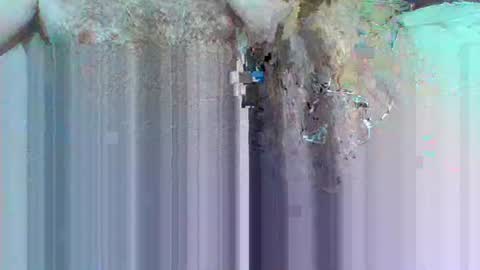 hi_to_you online show from June 3, 2026, 8:17 am