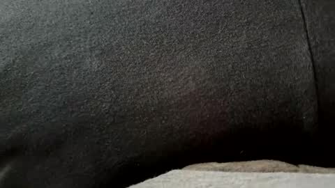 Snapshot of higheguy chatting on February 20, 2026, 5:46 pm higheguy online show from February 20, 2026, 5:46 pm