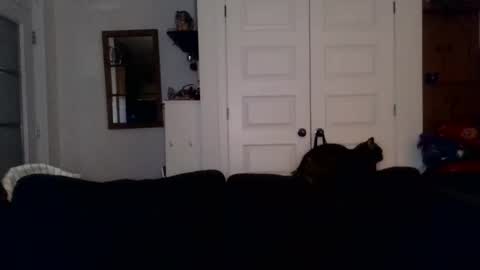 Snapshot of hightonight27 chatting on February 21, 2026, 4:24 am hightonight27 online show from February 21, 2026, 4:24 am