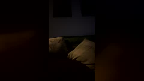 Snapshot of highvolatageusa chatting on February 9, 2026, 6:50 am Drake online show from February 9, 2026, 6:50 am