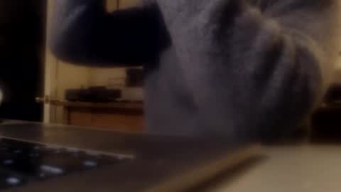 Snapshot of histrionical1 chatting on February 13, 2026, 11:06 am histrionical1 online show from February 13, 2026, 11:06 am