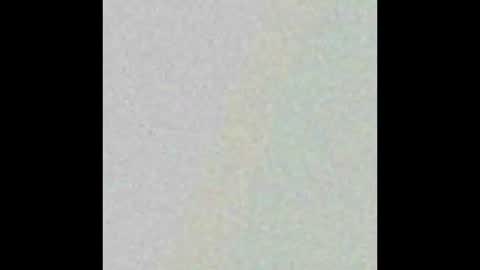 Snapshot of hngtop4furedadstx chatting on March 9, 2025, 1:26 pm Hung top 4 furry dads online show from March 9, 2025, 1:26 pm